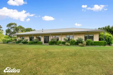 Farm Sold - VIC - Calrossie - 3971 - COUNTRY HAMPTON HOME ON 5 ACRES  (Image 2)