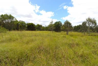 Farm Sold - QLD - North Isis - 4660 - 65 ACRE LIFESTYLE BLOCK READY TO BUILD  (Image 2)
