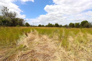 Farm Sold - QLD - North Isis - 4660 - 65 ACRE LIFESTYLE BLOCK READY TO BUILD  (Image 2)