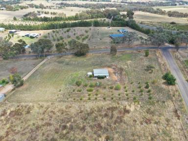 Farm Sold - NSW - Young - 2594 - 10acs Only 5 Minutes From Town  (Image 2)