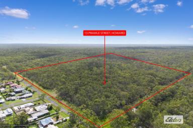 Farm For Sale - QLD - Howard - 4659 - If you build it...they will come!  (Image 2)