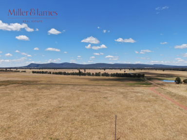 Farm Sold - NSW - Piney Range - 2810 - Acres of Opportunity!  (Image 2)