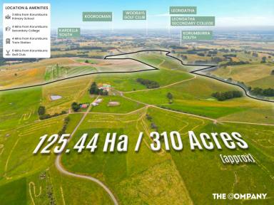 Farm For Sale - VIC - Korumburra - 3950 - EXPRESSION OF INTEREST CLOSING 17th FEB 2023  (Image 2)