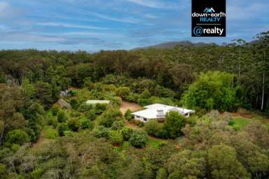 Farm Sold - QLD - Ravenshoe - 4888 - Escape to Your Own 45.46 Acre Paradise in Ravenshoe, QLD!  (Image 2)