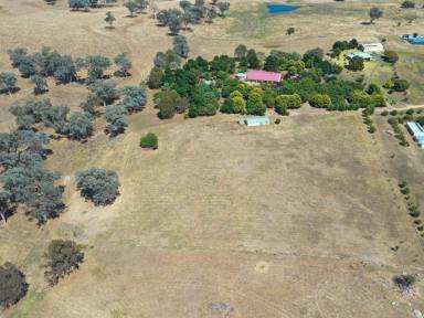 Farm Sold - NSW - Young - 2594 - Elevated 5acs* With Views Back Over Town  (Image 2)