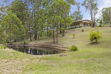 Farm Sold - QLD - Ravensbourne - 4352 - ESCAPE FROM THE CITY TO THE BEAUTIFUL HIGH  COUNTRY OF RAVENSBOURNE.  (Image 2)