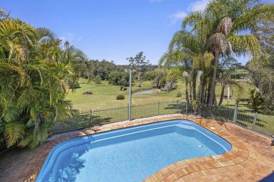 Farm Sold - NSW - Raleigh - 2454 - Two homes for the price of one!  (Image 2)