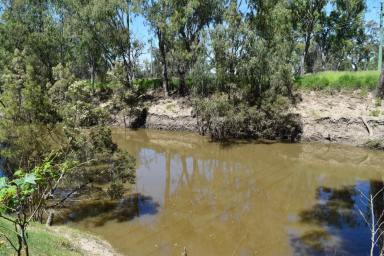Farm For Sale - QLD - Goondiwindi - 4390 - A PRIVATE 4869m2 ALLOTMENT LOCATED IN AN EXTREMELY SECLUDED LOCATION...  (Image 2)