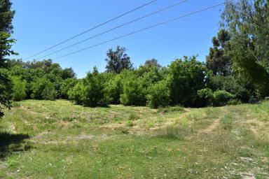 Farm For Sale - QLD - Goondiwindi - 4390 - A PRIVATE 4869m2 ALLOTMENT LOCATED IN AN EXTREMELY SECLUDED LOCATION...  (Image 2)