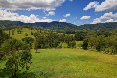 Farm For Sale - NSW - Krambach - 2429 - “Outstanding Views, Outstanding Location"  (Image 2)