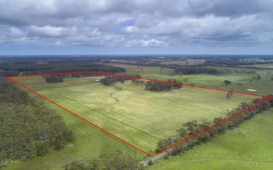 Farm For Sale - VIC - Laang - 3265 - PRODUCTIVE OUTPADDOCK & PICTURESQUE LIFESTYLE  (Image 2)