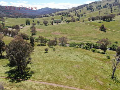 Farm Sold - NSW - Tooma - 2642 - Pristine River Flat Frontage In High Rainfall District  (Image 2)