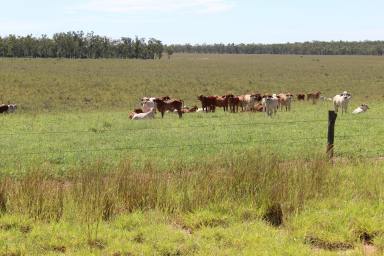 Farm Sold - QLD - Rubyvale - 4721 - "Rydan"  - Reliable Central Highlands Breeder Country  (Image 2)
