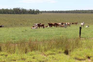 Farm Sold - QLD - Rubyvale - 4721 - "Rydan"  - Reliable Central Highlands Breeder Country  (Image 2)