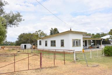 Farm Sold - NSW - Pallamallawa - 2399 - QUIET COUNTRY LIFESTYLE ON A LARGE BLOCK  (Image 2)