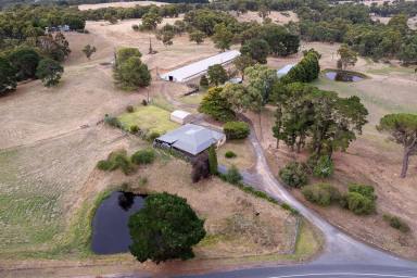 Farm Sold - SA - Hahndorf - 5245 - c1935 Stone home with acres, water & sheds. This is the dream!  (Image 2)