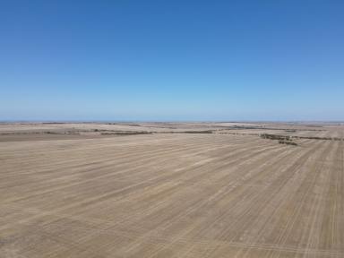 Farm Sold - SA - Arthurton - 5572 - Premium Cropping Land  (Image 2)