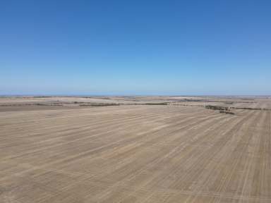 Farm Sold - SA - Arthurton - 5572 - Premium Cropping Land  (Image 2)