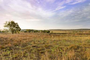 Farm Sold - QLD - Nobby - 4360 - "Bimbimbie"  (Image 2)