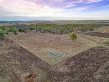 Farm Sold - QLD - Nobby - 4360 - "Bimbimbie"  (Image 2)