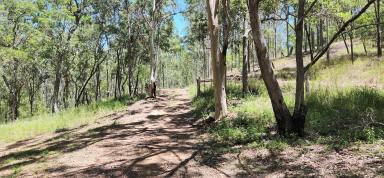 Farm For Sale - QLD - Mount Perry - 4671 - 135 Acres with sheds and water!  (Image 2)