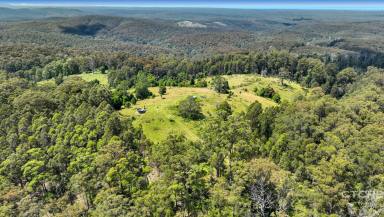 Farm Sold - VIC - Cabbage Tree Creek - 3889 - WHERE THE MOUNTAINS MEET THE SEA  (Image 2)