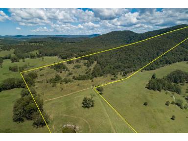 Farm Sold - NSW - Coolongolook - 2423 - RARE OPPORTUNITY FOR RURAL LIVING WITH ACCESS TO THE HIGHWAY  (Image 2)