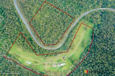 Farm Sold - NSW - Currowan - 2536 - LIVE AT ONE WITH THE WORLD  (Image 2)