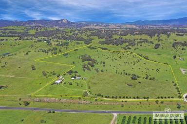 Farm For Sale - NSW - Tenterfield - 2372 - "Fairview" - Location, Views, Potential.....  (Image 2)