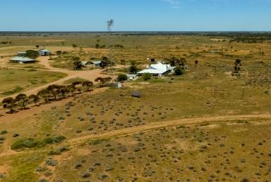 Farm Auction - SA - via Burra or Morgan - 5417 - Renowned, Manageable and Conveniently Located Pastoral Station  (Image 2)