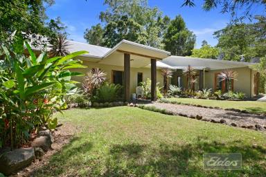 Farm Sold - QLD - Bella Creek - 4570 - Experience the Ultimate Rainforest Retreat on 30 acres!  (Image 2)