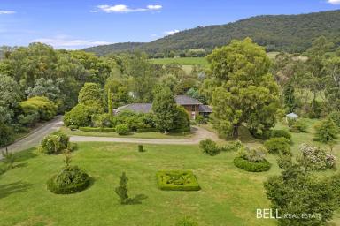 Farm Sold - VIC - Yarra Junction - 3797 - Picture perfect acreage close to town  (Image 2)