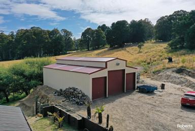 Farm Sold - TAS - Mount Lloyd - 7140 - The Perfect Hobby Farm  (Image 2)