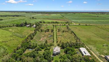 Farm Sold - QLD - Welcome Creek - 4670 - COASTAL ACREAGE WITH QUEENSLANDER CHARM AND A MASSIVE SHED!  (Image 2)