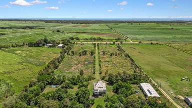 Farm Sold - QLD - Welcome Creek - 4670 - COASTAL ACREAGE WITH QUEENSLANDER CHARM AND A MASSIVE SHED!  (Image 2)