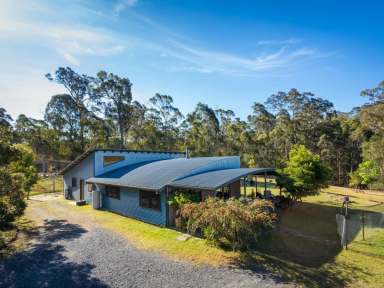 Farm Sold - NSW - Tanja - 2550 - TRANQUILLITY AT ITS BEST  (Image 2)