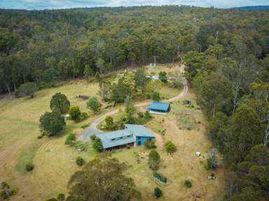 Farm Sold - NSW - Tanja - 2550 - TRANQUILLITY AT ITS BEST  (Image 2)