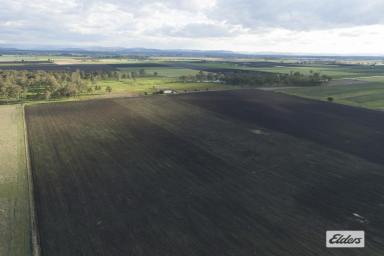 Farm Sold - QLD - Kentville - 4341 - Irrigation Property with 210 Meg water Allocation - 145 Acres
UNDER CONTRACT  (Image 2)
