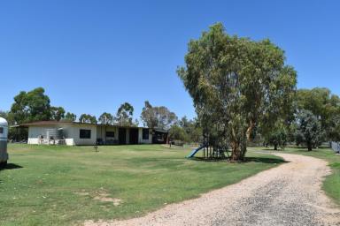 Farm For Sale - QLD - Goondiwindi - 4390 - VENDORS WISHING TO RELOCATE..  The perfect setting for the horse enthusiast    postioned on 5 ACRES  (Image 2)