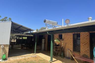 Farm Sold - WA - Dandaragan - 6507 - Entertainer Amongst the Redgums  (Image 2)