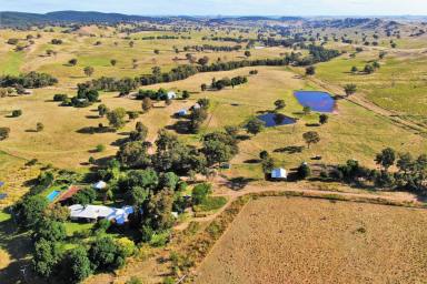 Farm For Sale - NSW - Cargo - 2800 - LARGE SCALE PASTORAL HOLDING  (Image 2)