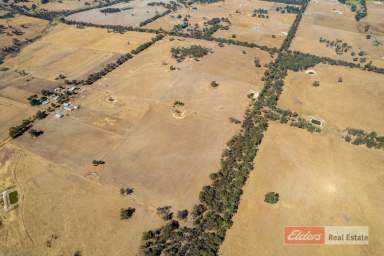 Farm Sold - WA - Kendenup - 6323 - Opportunity Knocks 4 times!  (Image 2)