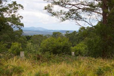 Farm Sold - NSW - Dundurrabin - 2453 - The Space & Privacy To Do What You Want To Do & Be Who You Want To Be  (Image 2)