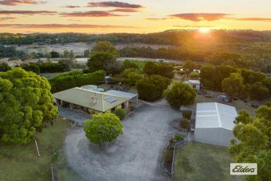 Farm Sold - VIC - Faraday - 3451 - PICTURESQUE HOBBY FARM WITH BOUTIQUE OLIVE GROVE  (Image 2)