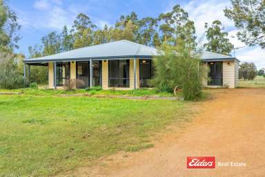 Farm Sold - WA - Mount Barker - 6324 - Something for All the Family  (Image 2)