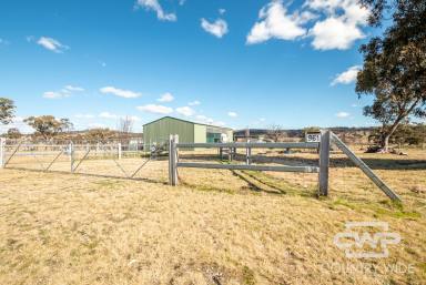 Farm Sold - NSW - Wellingrove - 2370 - Build Your Dream Home  (Image 2)
