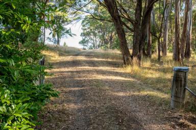 Farm Sold - VIC - Strathbogie - 3666 - A Peaceful Country Haven - 13 Ha (32.11Ac)  (Image 2)