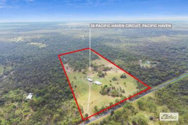 Farm Sold - QLD - Pacific Haven - 4659 - Imagine owning 37 acres of magnificent horse property...  (Image 2)