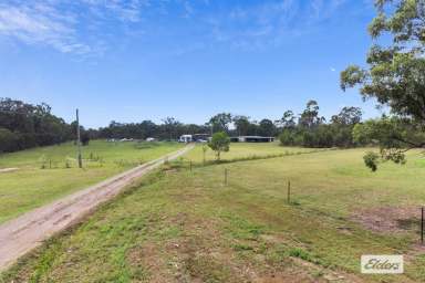 Farm Sold - QLD - Pacific Haven - 4659 - Imagine owning 37 acres of magnificent horse property...  (Image 2)