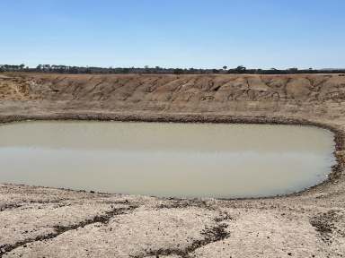 Farm Sold - WA - South Tammin - 6409 - 3 year cropping lease for tender  - good quality country  (Image 2)